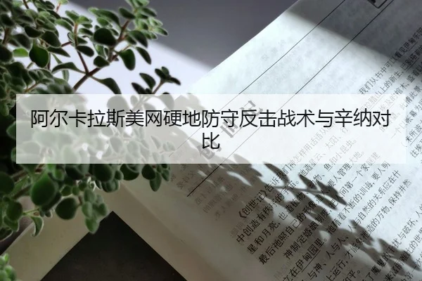 a-er-ka-la-si-mei-wang-ying-di-fang-shou-fan-ji-zhan-shu-yu-xin-na-dui-bi-2-792.jpg