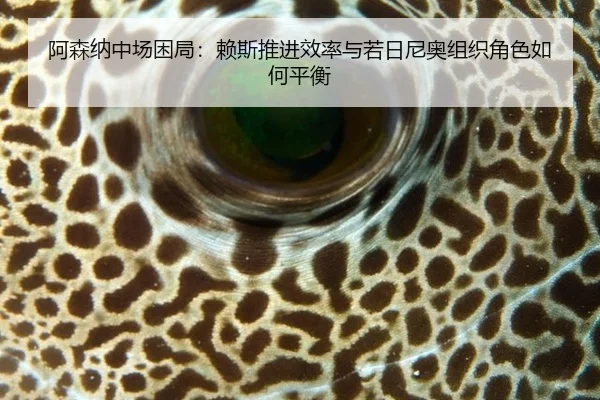 阿森纳中场困局：赖斯推进效率与若日尼奥组织角色如何平衡